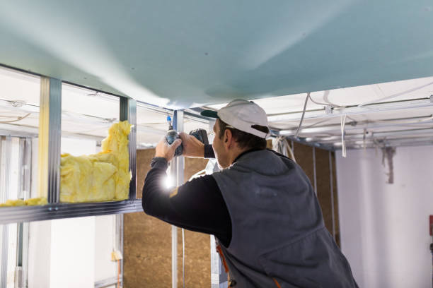 Best Insulation Maintenance and Repair in Albany, TX